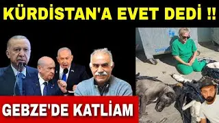 özgür özel, Gebze hayvan barınağı, Abdullah öcalan'a ev, kredi kartı 100 bin TL,