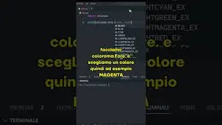 Come colorare il testo del terminale in Python! 