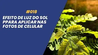 #18 - Efeito de luz do sol para fotos de celular