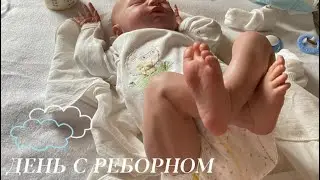 A day with reborn Aurora🌸