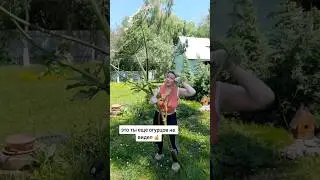 #юмор