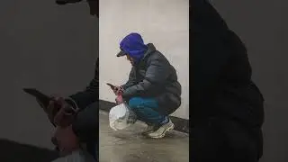 Mükemmel Foto Çekimleri