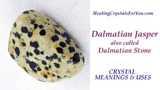 Dalmatian Jasper or Stone: Crystal Meanings & Uses