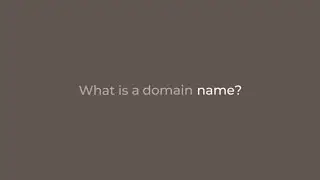 What is a domain name?