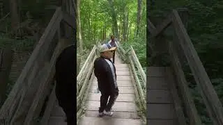 Go hiking ￼