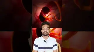 #zygote