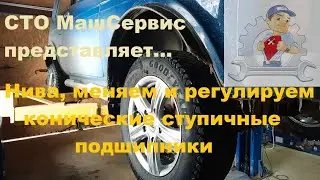Lada Niva. Front wheel bearings - disassembly, replacement, adjustment