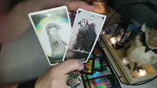 🤷‍♀️🎄🎄Ну ничего себе🔥. Что он самому себе говорит о Вас🤷‍♀️🎄🎄