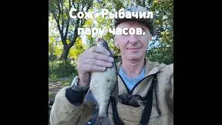 7 июля 2024 г.