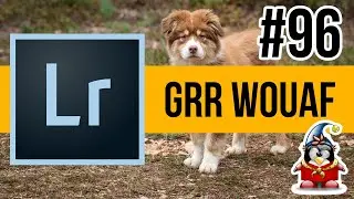 Lightroom Retouche Express 96 - Wouaf Wouaf