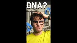 Come funzionano i test del DNA? @jakidale  #testdna