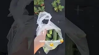 на даче#🤪