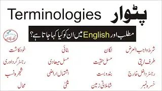 Patwar Legal terminologies – Land Revenue Terms in English / Urdu