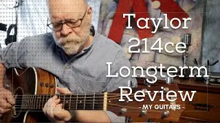 Taylor 214ce Longterm Review