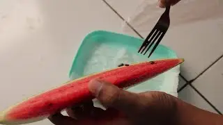 HOW TO SEED WATERMEL FROM THE SEED FROM THE FRUIT DIRECTLY
