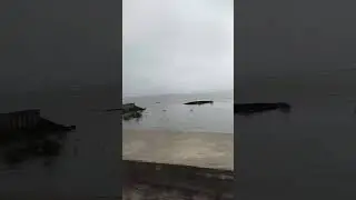 #dighaseabeach #digha #digha_tour #dighasamudra #shorts #viral #youtubeshorts #trending