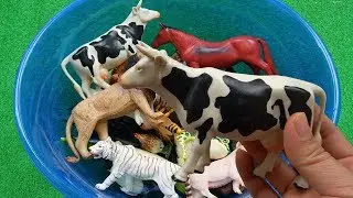 Som dos animais - Aprende animais de plástico - Sons de animais engraçados