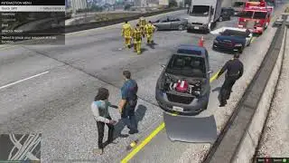 FirstThirtyMinutes LSPDFR Compilation Volume 1