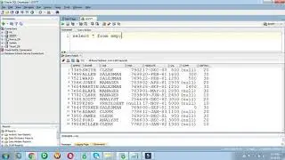 How to Export data from a table using SQL Developer