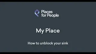 How to unblock your sink