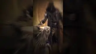 S.T.A.L.K.E.R☢️МЁРТВЫЙ СПЕЦНАЗ 