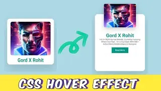 Css Hover Effects - css tutorials for Beginners 💖CSS Animation 🚀 Css projects #css #webdevelopment