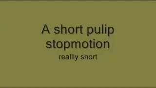 Little Pullip StopMotion
