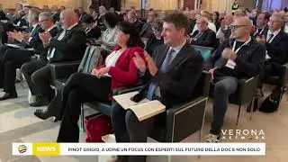 DOC Delle Venezie, a Udine un nuovo congresso per guardare al futuro del Pinot Grigio