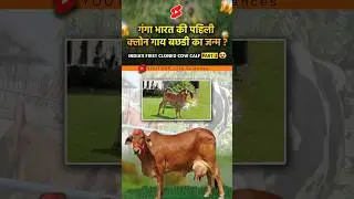 गंगा भारत की पहिली क्लोन गाय बछडी😳#fyp #amazingfacts #cow #cowboys #cowboy #lifesciencefacts #facts