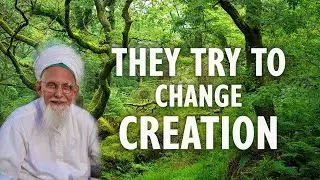 They Try to Change Creation