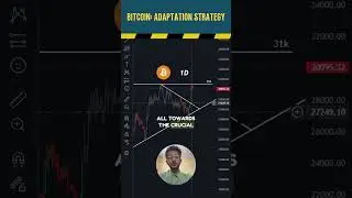 Bitcoin: Adaptation Strategy.