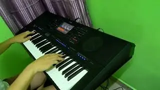 《极乐净土》 Yamaha PSR SX900.