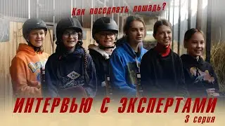 Интервью с экспертами в конном спорте. 3 Серия