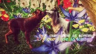 If Our Love Is Wrong S3PMV ***Full***