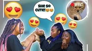WE SURPRISED DESIRAY WITH HER DREAM DOG😍 *EMOTIONAL*