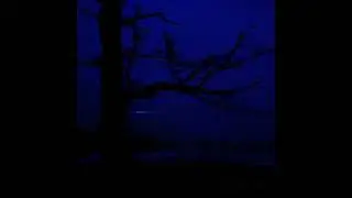 (FREE FOR PROFIT) DARK AMBIENT TYPE BEAT - 