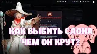 ИМПЕРАТОСКИЙ СЛОН / КАК ВЫБИТЬ / ЧТО ДЕЛАЕТ / СЛОМАНАЯ ТРУБА / BLACK DESERT MOBILE
