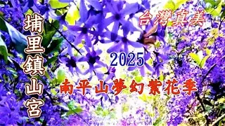 台灣真美 埔里鎮山宮錫葉藤