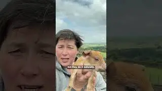 Working with nature #shorts