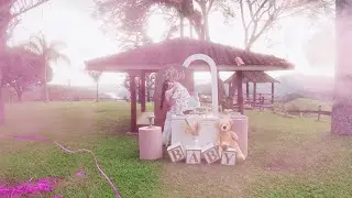 Chá revelação (4K)