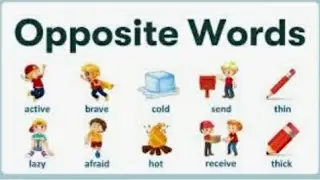 Opposite Words tutorial for kids