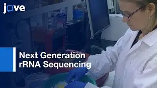 Sequencing Of 16S Ribosomal RNA Gene Amplicons