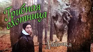Хроники грибной охоты-3. Нашла череп в лесу / Chronicles of mushroom hunting-3. Found a skull