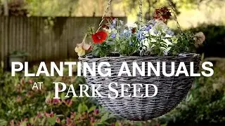 Planting Annuals at Park Seed