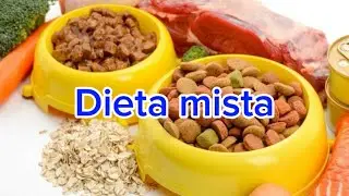 Dieta mista