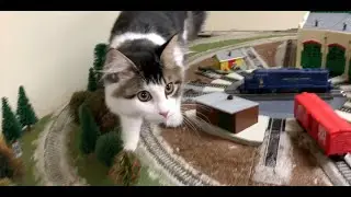 Charlie the Cat vs the Trains