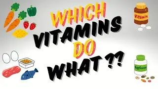 Which Vitamins Do What | What Vitamins and Supplements Should I Take ?