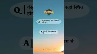 गेस्ट्रोक्नीमियस' पेशी स्थित होती है। #biology #gk #onelinerquestion #shortquestion #shorts #bped