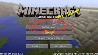 When your in a singleplayer world