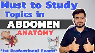 Must to Study Topics in Abdomen Anatomy | 1st Year Professional Exams
